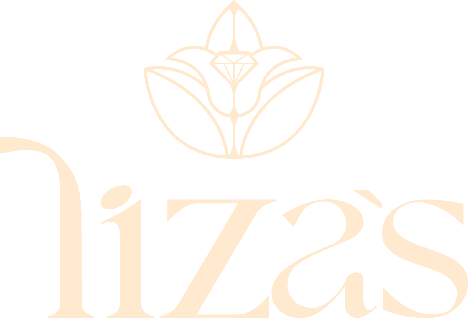 lizas.com.co
